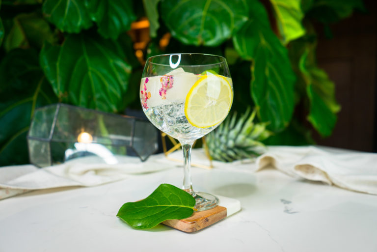 A Gin and Tonic served in a wine glass on a coaster, with a plant in the back.