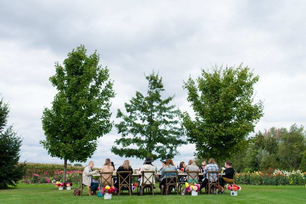 Long banquet table seating 14, set outside in a flower-trimmed field.